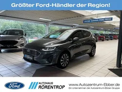 Metallic) (grau Gebraucht 2022 Ford Fiesta Titanium X Kleinwagen | 18.778 € (Etwas zu teuer)