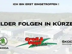 Grün Gebraucht 2021 Skoda Karoq Clever SUV | 23.790 € (Fairer Preis)