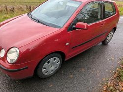Rot Gebraucht 2003 VW Polo Kleinwagen | 2.100 € (Etwas zu teuer)