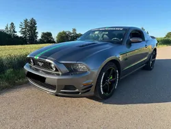 Grau Gebraucht 2014 Ford Mustang GT Coupé | 23.500 € (Guter Preis)