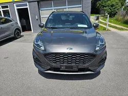 Grau Gebraucht 2024 Ford Kuga ST-Line SUV | 24.999 € (Superpreis)