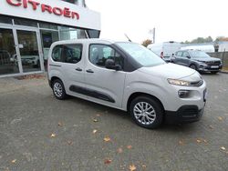 Beige Gebraucht 2019 Citroën Berlingo Live Van / Kleinbus | 15.500 € (Teuer)