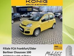 Gelb Neu 2025 Fiat Grande Panda Kleinwagen | 15.489 € (Teuer)