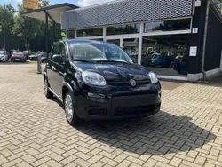 Schwarz Gebraucht 2024 Fiat Panda Kleinwagen | 14.389 € (Fairer Preis)