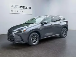 Grau Neu 2025 Lexus NX350h Executive Line SUV | 54.290 € (Guter Preis)