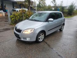 Silber Gebraucht 2009 Skoda Fabia GreenLine Kleinwagen | 1.300 € (Etwas zu teuer)