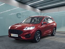 Rot Gebraucht 2024 Ford Kuga ST-Line SUV | 31.769 € (Fairer Preis)