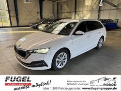Candyweiss Gebraucht 2023 Skoda Octavia Style Kombi | 21.799 € (Superpreis)
