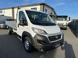 Weiß Gebraucht 2018 Fiat Ducato Van | 22.610 € (Etwas zu teuer)