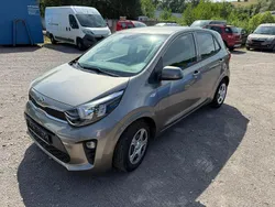 Grau Gebraucht 2017 Kia Picanto Kleinwagen | 5.499 € (Superpreis)