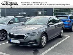 Grau Gebraucht 2022 Skoda Octavia Active Limousine | 19.990 € (Guter Preis)