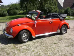 VW Käfer