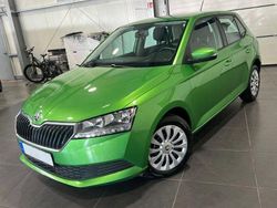 Grün Gebraucht 2020 Skoda Fabia Kleinwagen | 9.495 € (Fairer Preis)