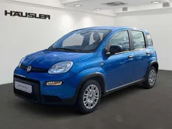 Blau Gebraucht 2024 Fiat Panda Kleinwagen | 13.990 € (Fairer Preis)