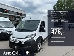 Weiss ducato weiss Neu 2025 Fiat Ducato Van | 30.514 € (Guter Preis)