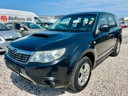 Grau Gebraucht 2008 Subaru Forester Active SUV | 5.590 € (Teuer)