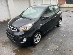 Schwarz Gebraucht 2015 Kia Picanto Edition 7 Kleinwagen | 3.500 € (Fairer Preis)