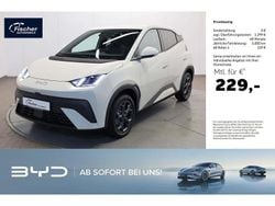 Apricity white Neu 2025 BYD Dolphin Comfort Kleinwagen | 24.590 € (Guter Preis)