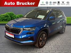 Blau Neu 2025 Skoda Karoq Tour SUV | 37.110 € (Teuer)