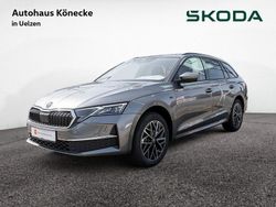 Grau Gebraucht 2025 Skoda Octavia Tour Kombi | 34.870 € (Fairer Preis)