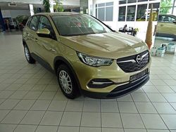 Champagner Gebraucht 2018 Opel Grandland X Selection SUV | 11.800 € (Fairer Preis)