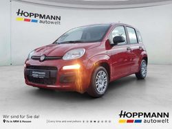 Rot Neu 2026 Fiat Panda Pop Kleinwagen | 14.990 € (Fairer Preis)