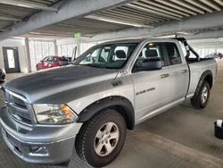 Silber Gebraucht 2012 Dodge Ram Abholung | 17.800 €
