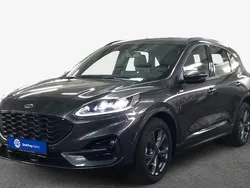 Grau Gebraucht 2024 Ford Kuga ST-Line SUV | 30.430 € (Guter Preis)