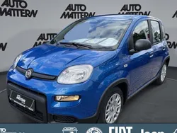Blau Gebraucht 2024 Fiat Panda Kleinwagen | 15.490 € (Etwas zu teuer)
