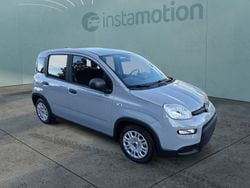 Grau Gebraucht 2023 Fiat Panda Style Kleinwagen | 14.299 € (Etwas zu teuer)