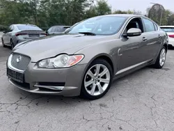Gebraucht 2010 Jaguar XF Luxury Limousine | 7.990 € (Fairer Preis)