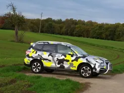 Silber Gebraucht 2018 Subaru Forester Exclusive+ SUV | 21.900 € (Fairer Preis)