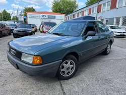 Grün Gebraucht 1991 Audi 80 Limousine | 1.900 €