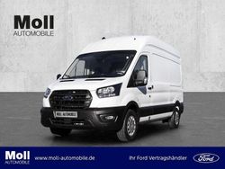 Frostweiß Gebraucht 2024 Ford Transit Trend Van | 39.900 €