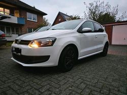 Weiß Gebraucht 2014 VW Polo Kleinwagen | 3.600 € (Fairer Preis)