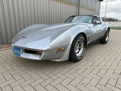 Silber Gebraucht 1981 Corvette Stingray | 36.900 €