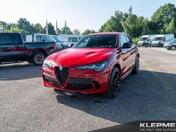 Rosso alfa uni Gebraucht 2025 Alfa Romeo Stelvio Quadrifoglio SUV | 77.590 €
