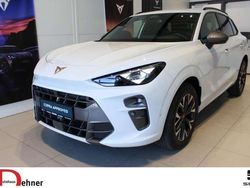 Eisweiß Gebraucht 2025 Cupra Terramar SUV | 37.980 € (Fairer Preis)