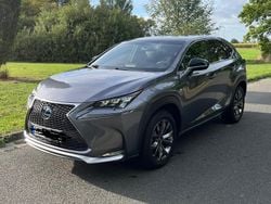 Grau Gebraucht 2015 Lexus NX300h Sport Line SUV | 26.600 € (Etwas zu teuer)