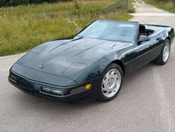 Grün Gebraucht 1993 Corvette C4 Cabrio | 22.900 €