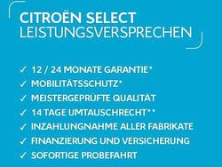 Weiß Gebraucht 2018 Citroën Jumpy Business Class Van / Kleinbus | 18.000 € (Teuer)