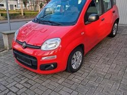 Rot Gebraucht 2017 Fiat Panda Kleinwagen | 5.800 € (Guter Preis)