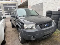 Schwarz Gebraucht 2005 Ford Maverick Basis SUV | 1.500 € (Superpreis)