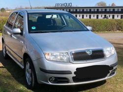 Silber Gebraucht 2005 Skoda Fabia Ambiente Kleinwagen | 1.999 € (Fairer Preis)