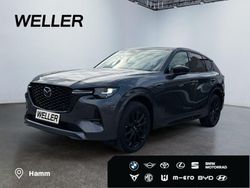 Grau Gebraucht 2023 Mazda CX-60 Homura-Line SUV | 39.880 €