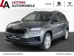 Grau Neu 2025 Skoda Karoq Selection SUV | 42.945 € (Teuer)