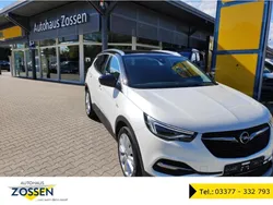 Weiß Gebraucht 2020 Opel Grandland X Ultimate SUV | 21.750 € (Fairer Preis)