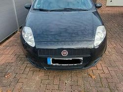 Schwarz Gebraucht 2013 Fiat Punto Kleinwagen | 2.200 € (Superpreis)