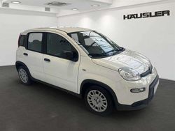 Weiß Gebraucht 2024 Fiat Panda Kleinwagen | 13.990 € (Fairer Preis)