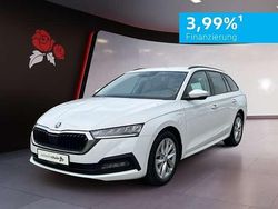 Candyweiß Gebraucht 2023 Skoda Octavia Kombi | 23.949 € (Guter Preis)